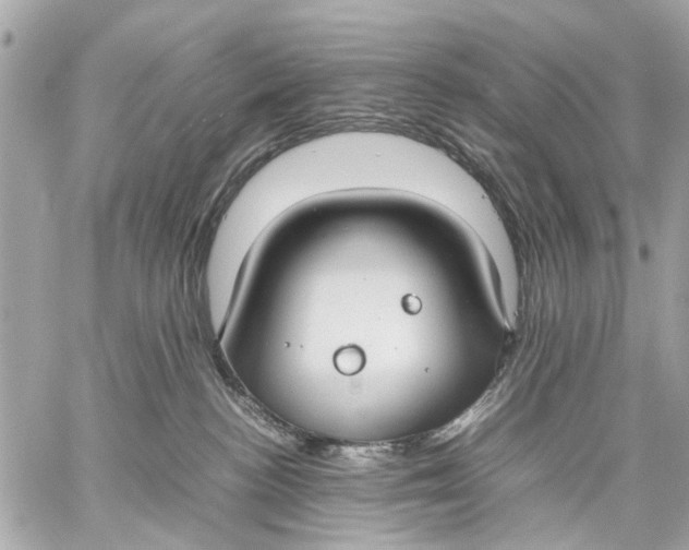 X0000059230188200511041251