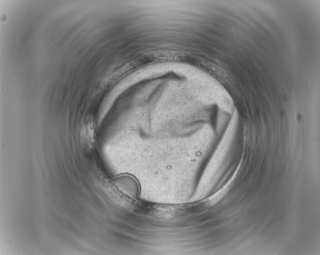 X0000059230190200511041251