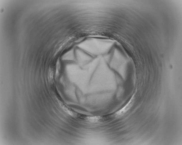 X0000059230192200511041251