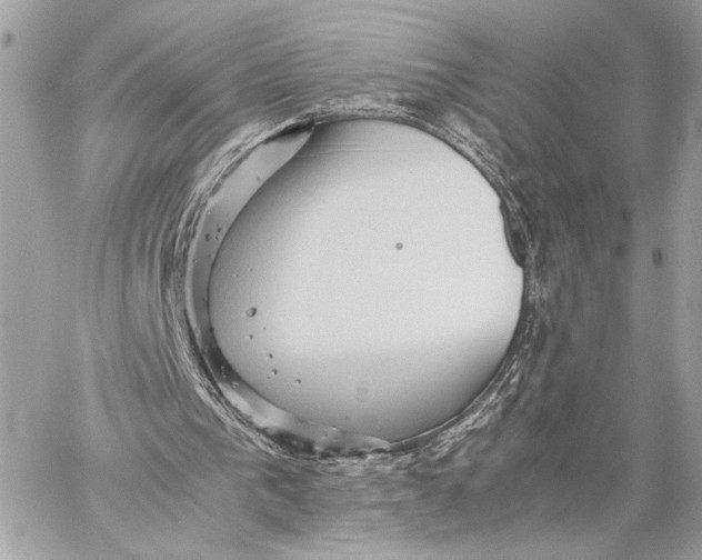 X0000059230193200511041250