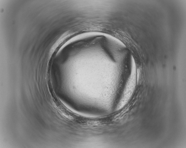 X0000059230195200511041250