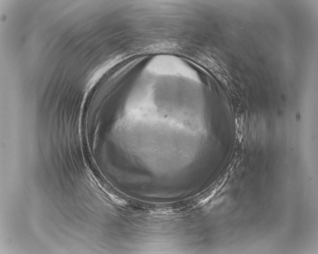 X0000059230196200511041250