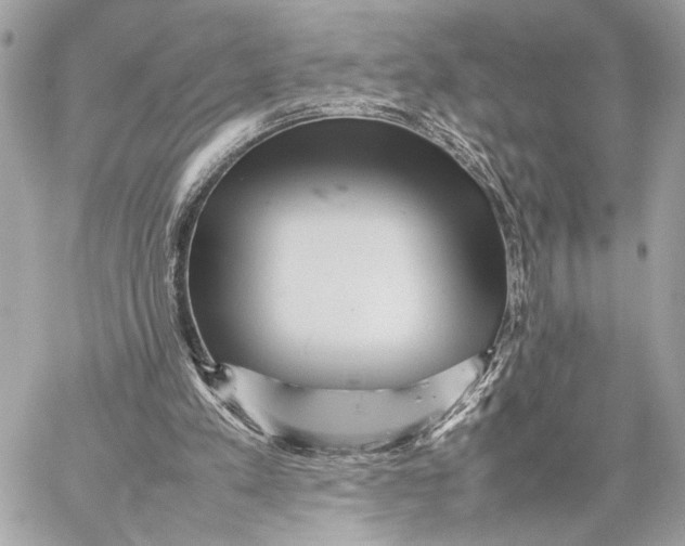 X0000059230197200511041250