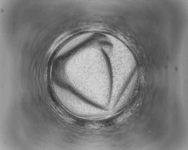 X0000059230199200511041250