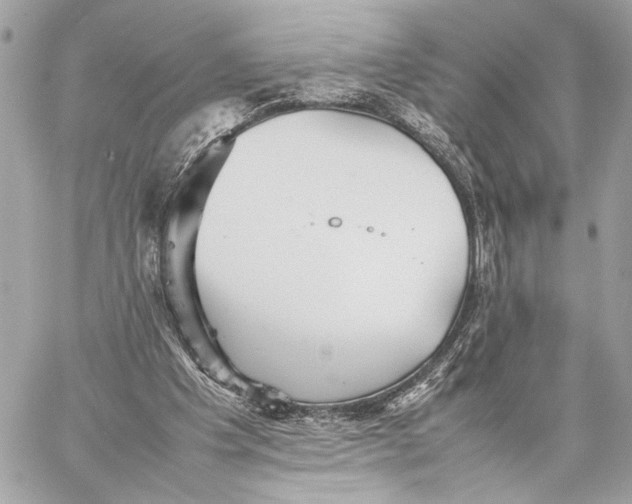 X0000059230201200511041250