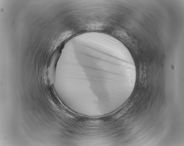 X0000059230202200511041250