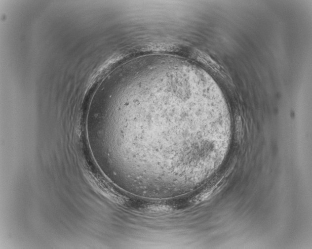 X0000059230203200511041250