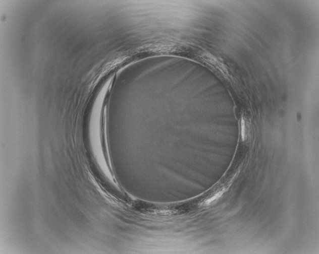 X0000059230205200511041250