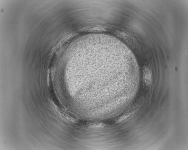 X0000059230206200511041250