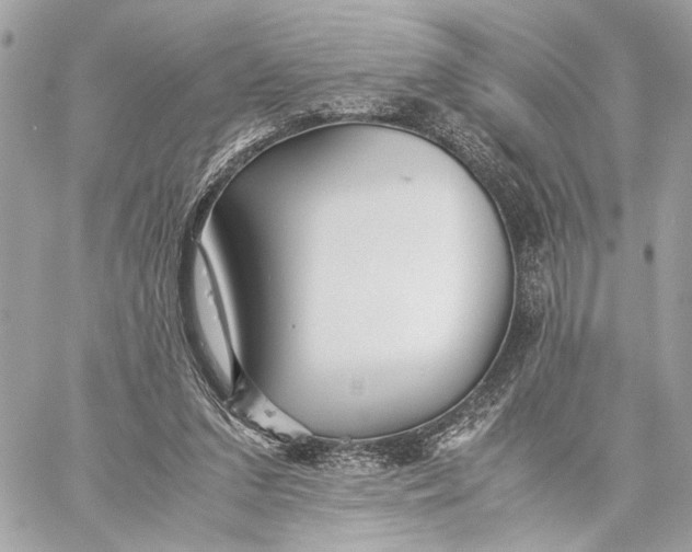 X0000059230207200511041250