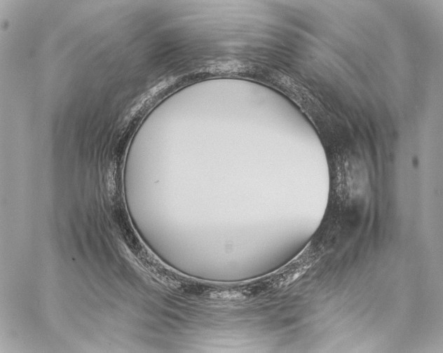 X0000059230208200511041250