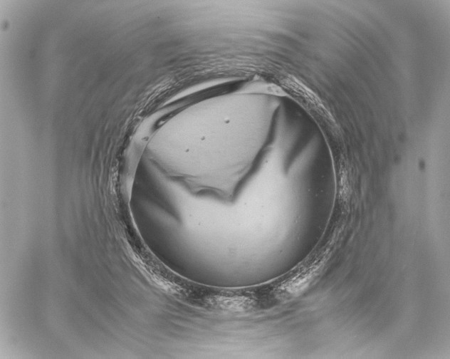 X0000059230209200511041250