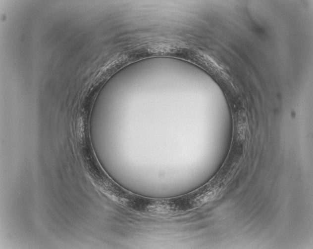 X0000059230211200511041250