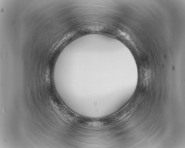 X0000059230212200511041250