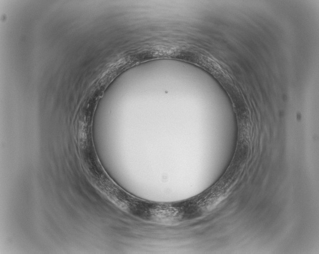 X0000059230215200511041250