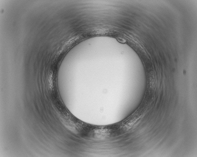 X0000059230216200511041250