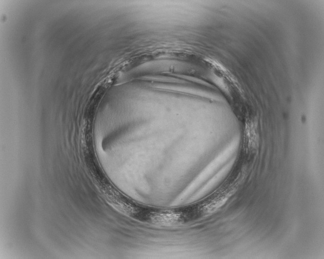 X0000059230217200511041250