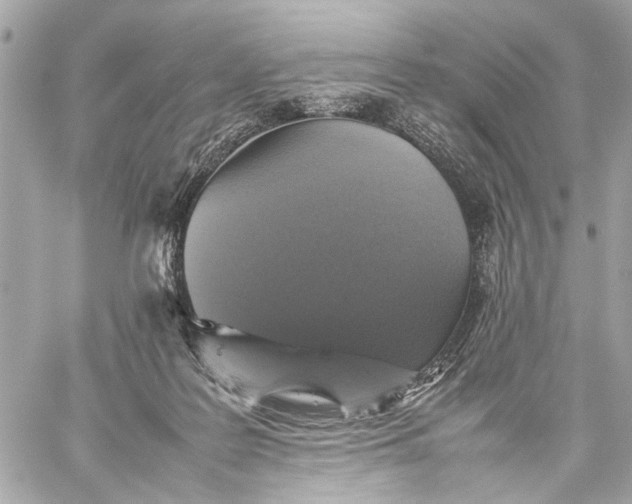 X0000059230219200511041250