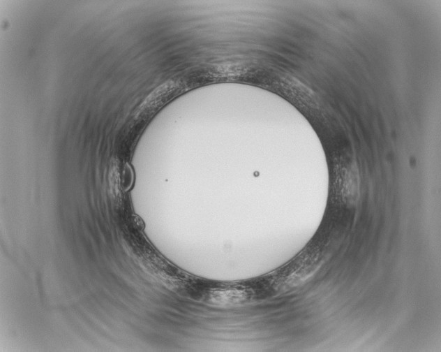 X0000059230220200511041250