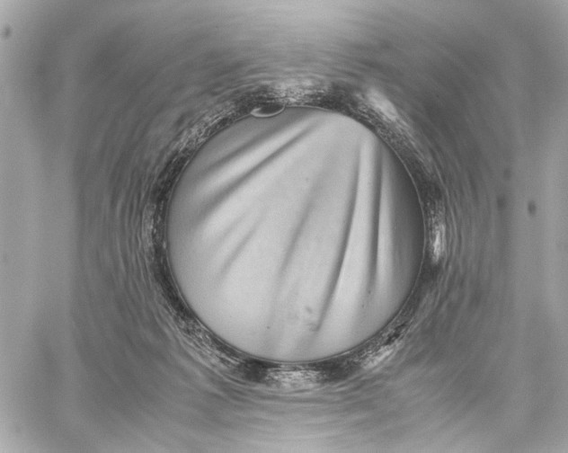 X0000059230221200511041250