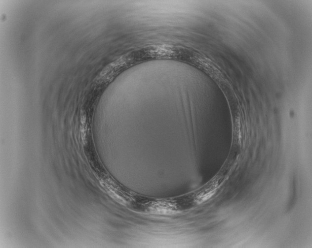 X0000059230223200511041250