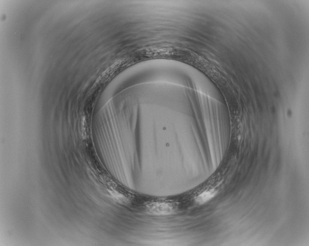 X0000059230224200511041250