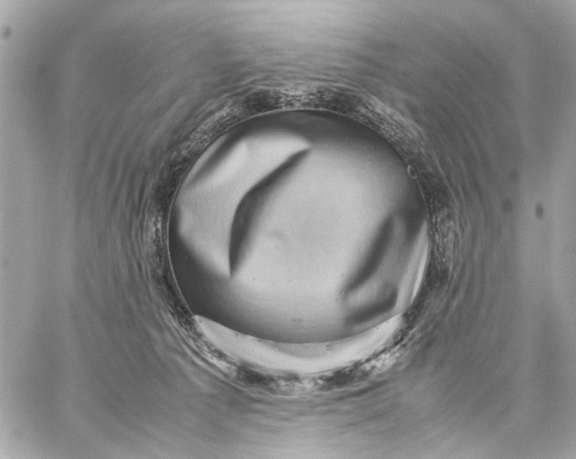 X0000059230225200511041250