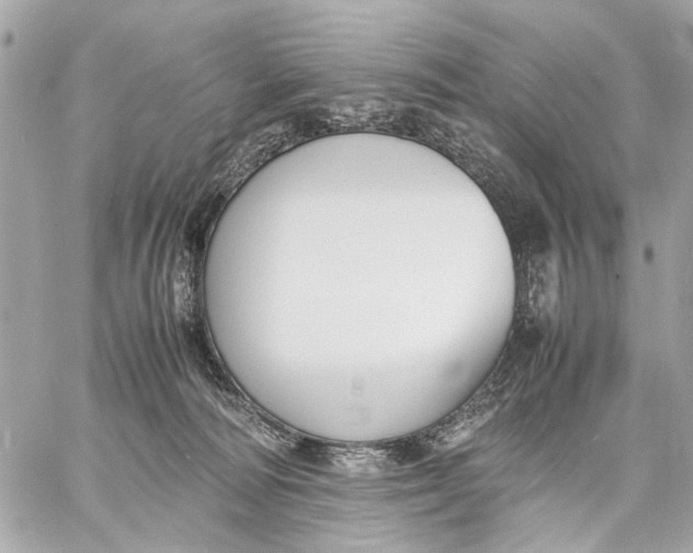 X0000059230226200511041250