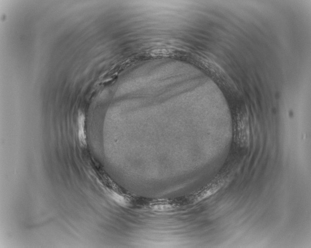 X0000059230228200511041250