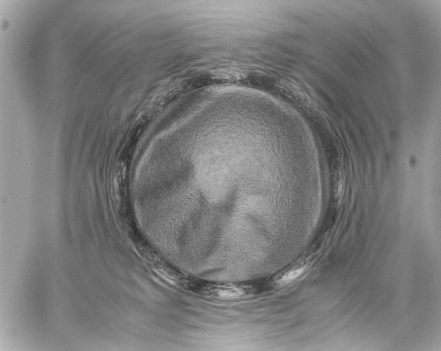 X0000059230229200511041250