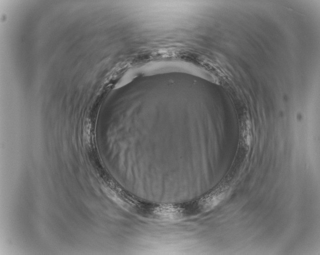 X0000059230231200511041250