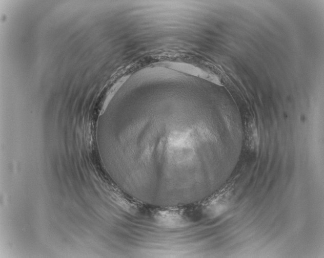 X0000059230232200511041250