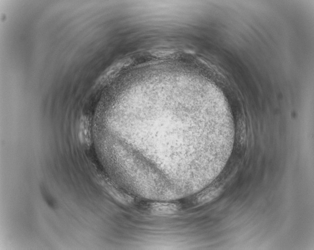 X0000059230234200511041250