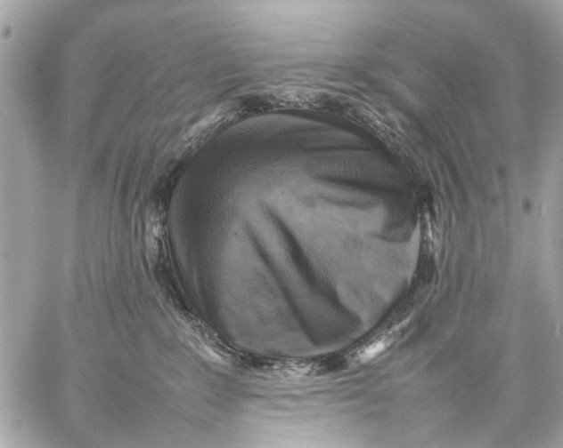 X0000059230235200511041250