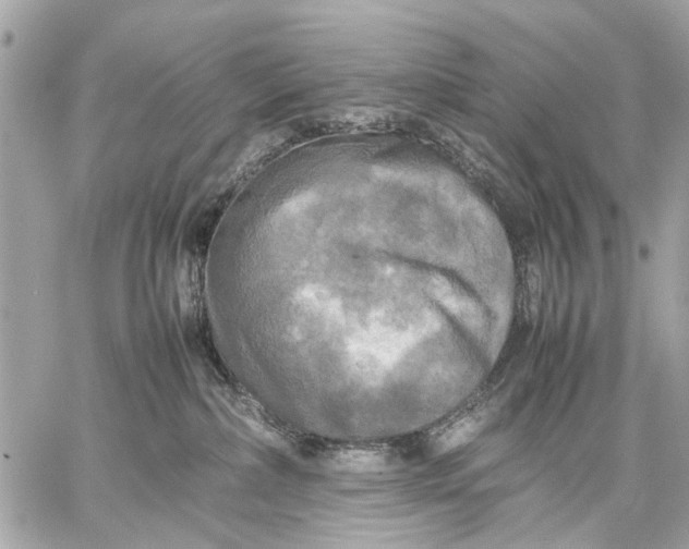 X0000059230236200511041250