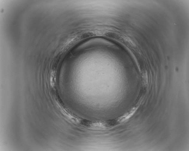 X0000059230237200511041250