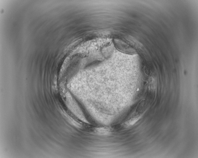 X0000059230238200511041250