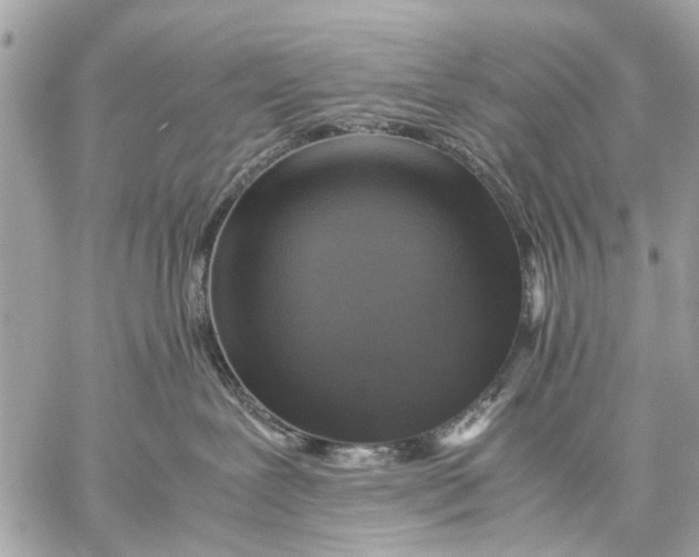 X0000059230239200511041250