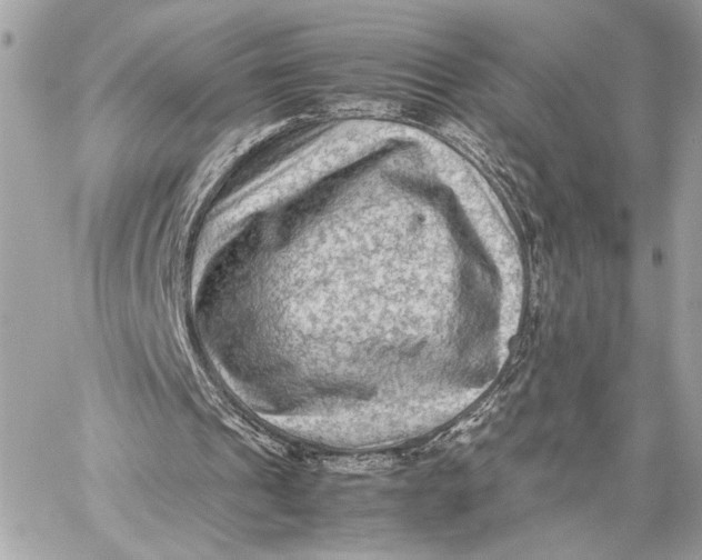 X0000059230241200511041249