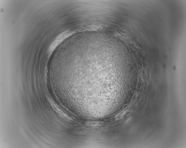 X0000059230242200511041249