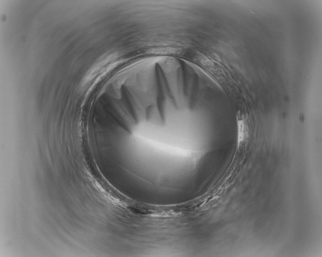 X0000059230243200511041249