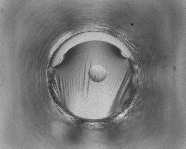 X0000059230244200511041249