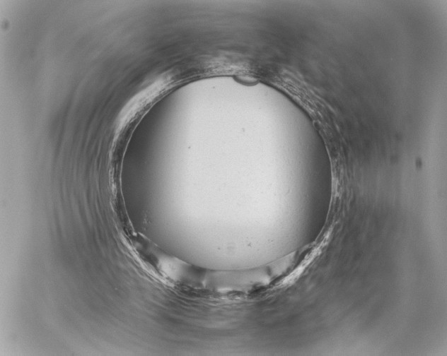 X0000059230245200511041249