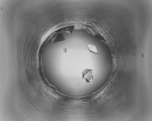 X0000059230246200511041249