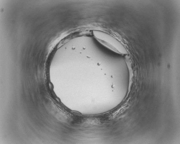 X0000059230248200511041249