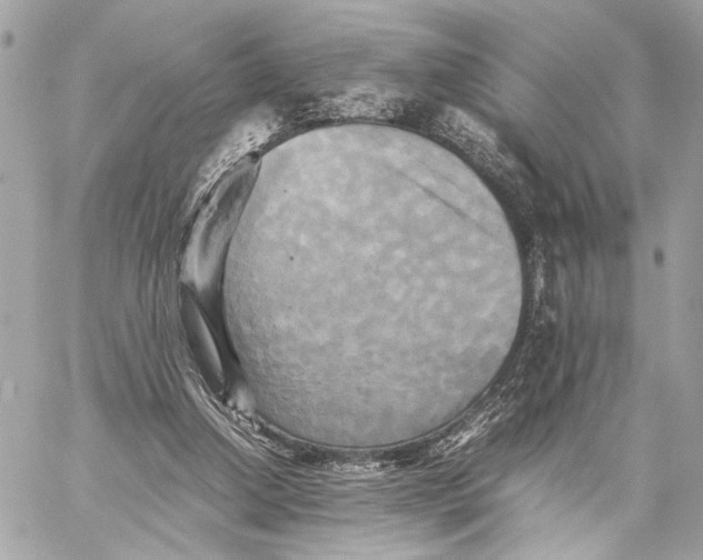 X0000059230250200511041249