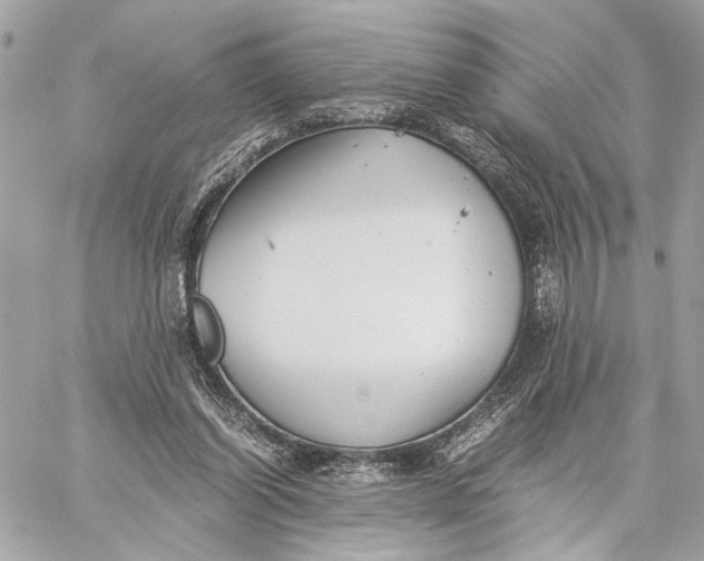 X0000059230254200511041249