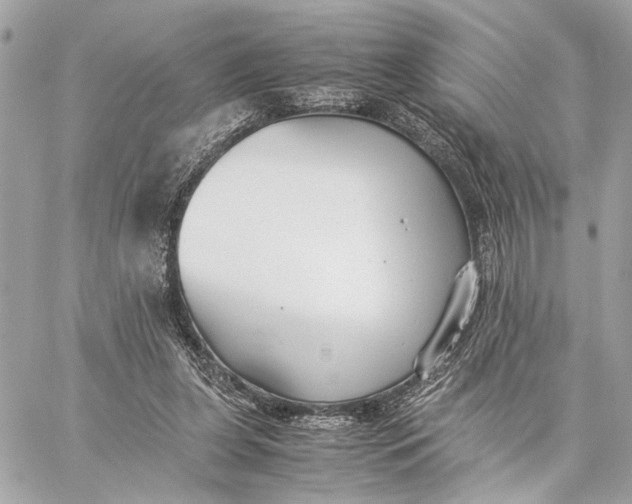 X0000059230255200511041249