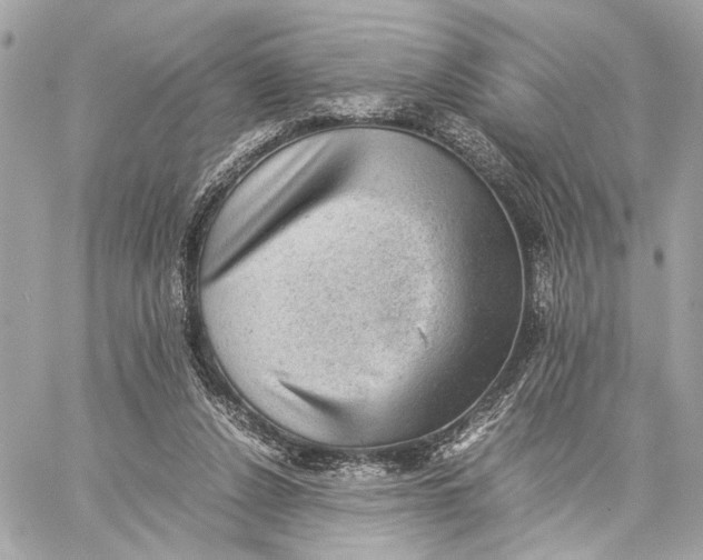 X0000059230256200511041249