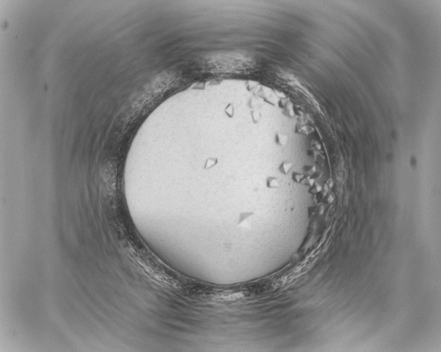 X0000059230257200511041249